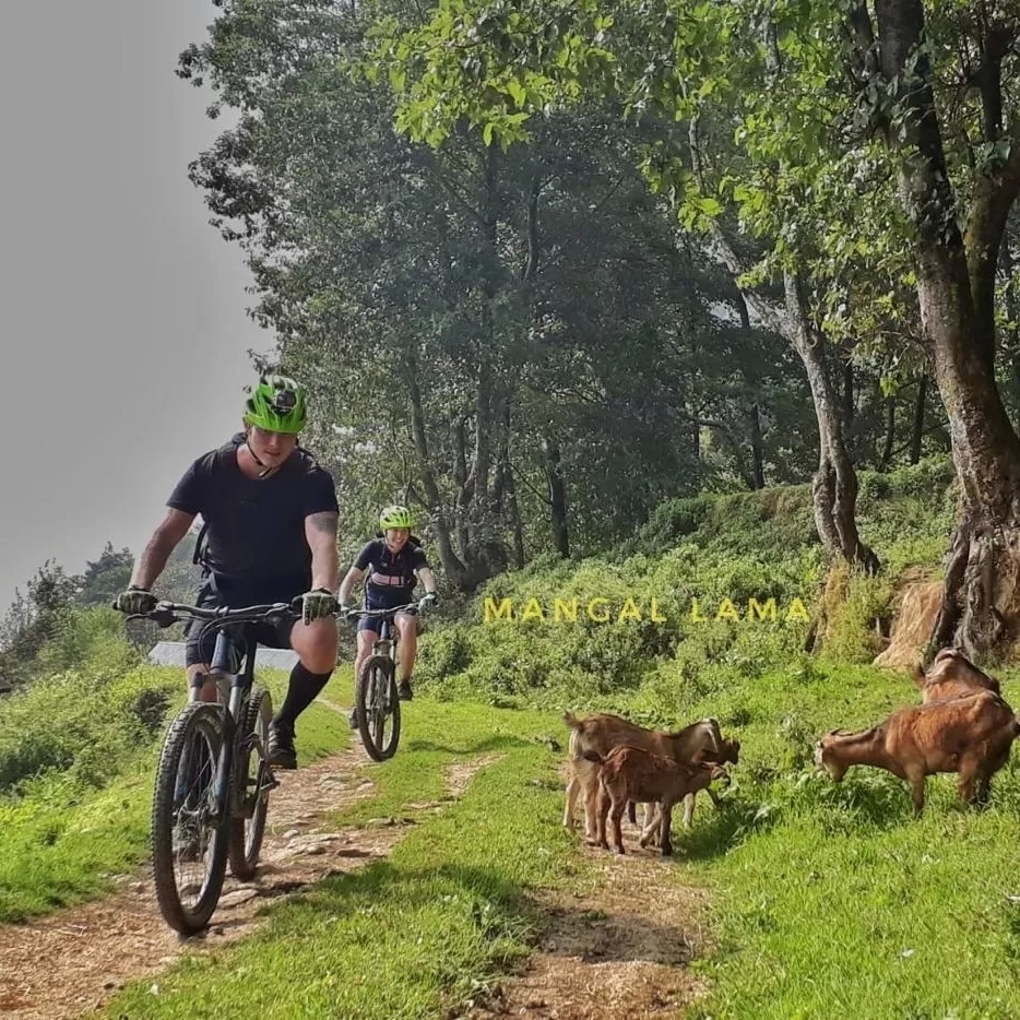 Mountain Bike Trip