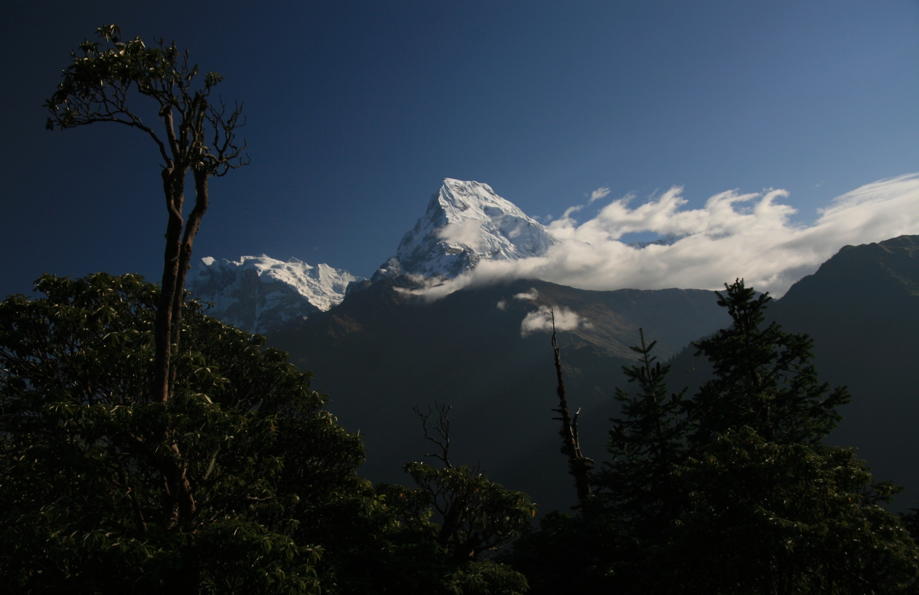 Ghorepani poon hill trek