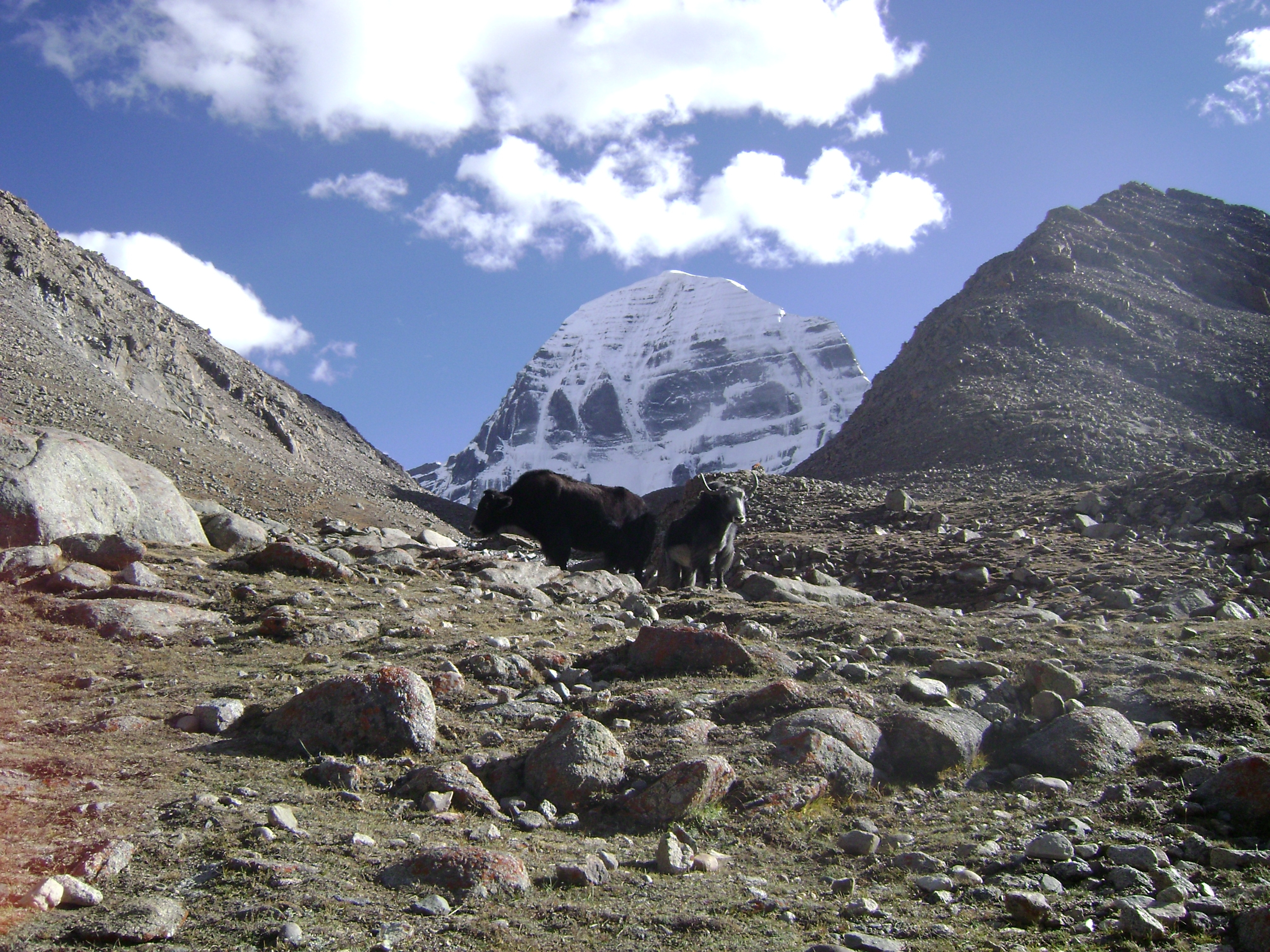 kailash